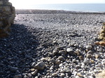 FZ001420 Pebbles washed up high after storms.jpg